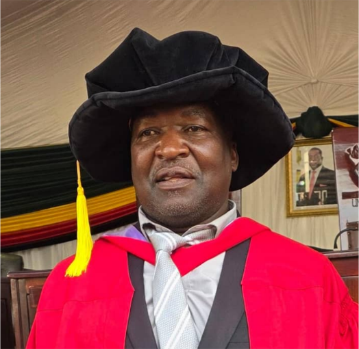 Manager: Dr. Engineer Nelson Shati, PhD